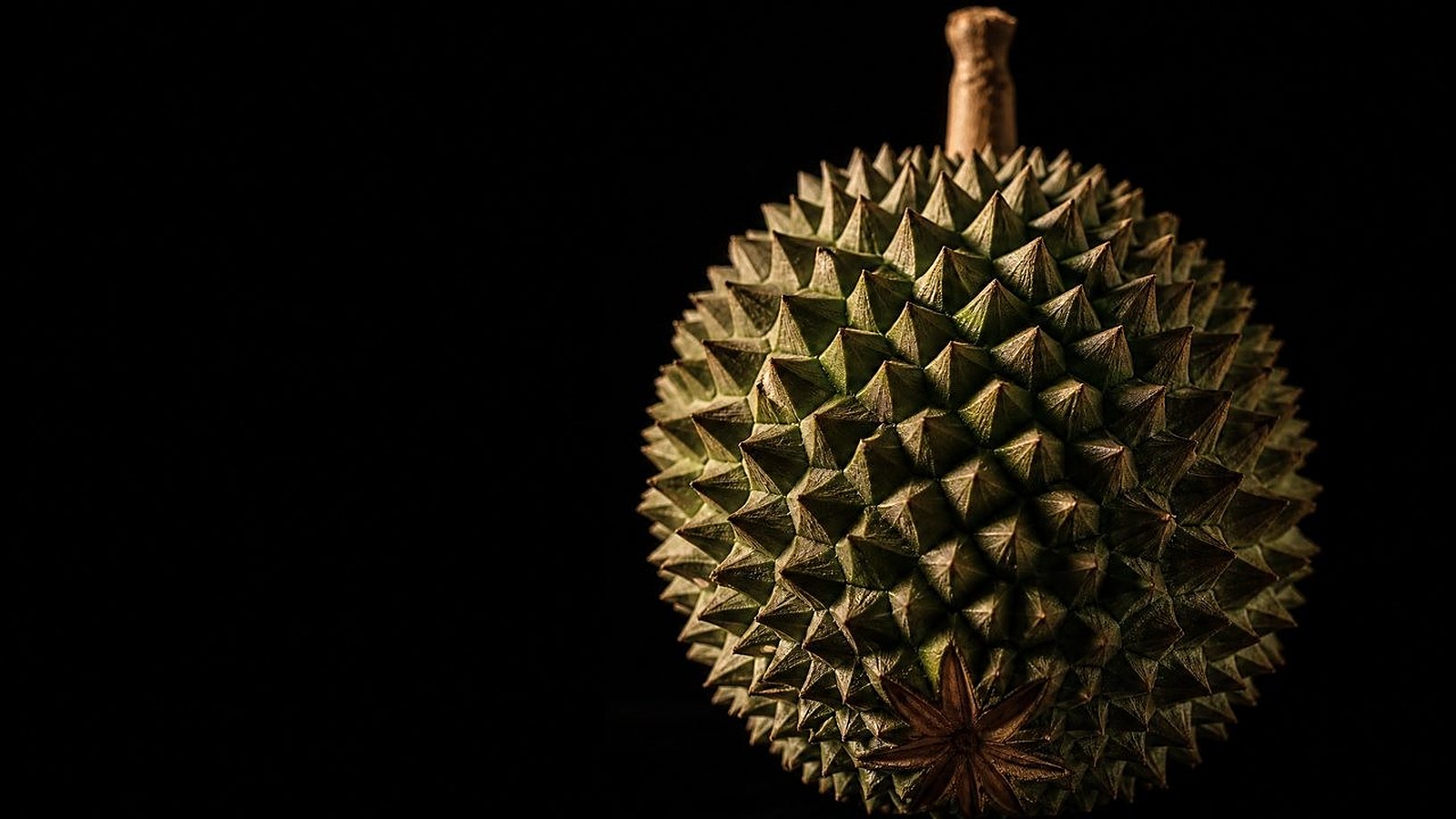 Musang King — the loud, savoury durian