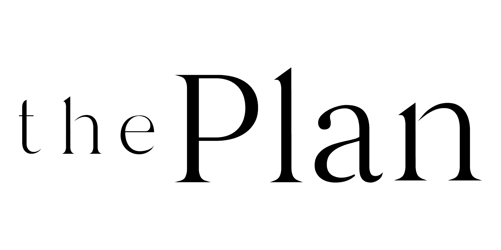 The Plan - partnership credit