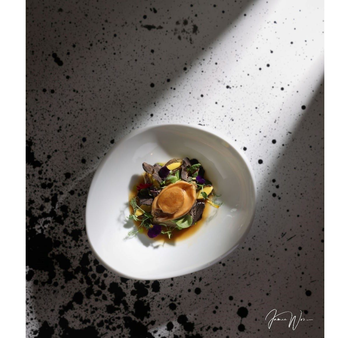 Enfin archive 10 — abalone.