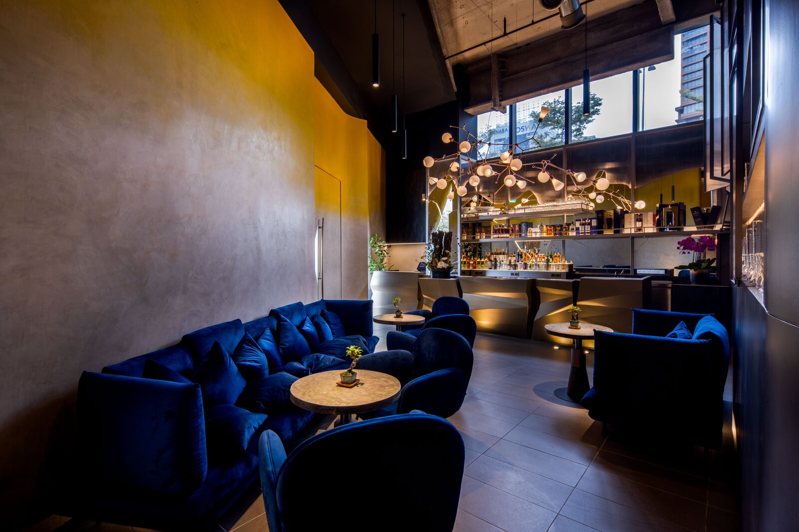 Shin'Lounge — alternative framing.